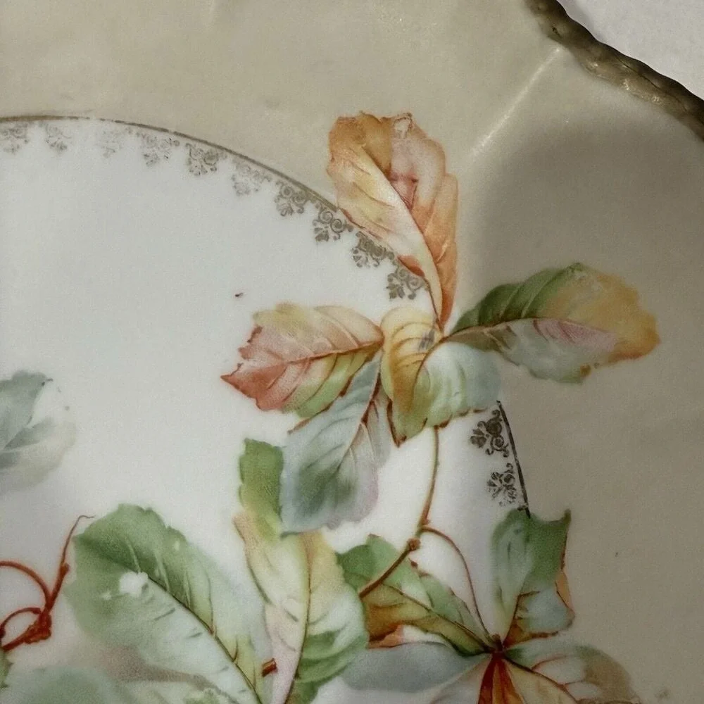 Cottage Germany Floral Plate Grandma Shabby Chic Tab Handled   10